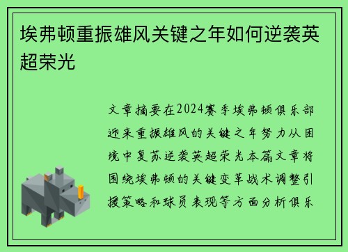埃弗顿重振雄风关键之年如何逆袭英超荣光